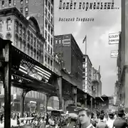 Постер книги Полет нормальный…