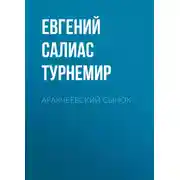Постер книги Аракчеевский сынок