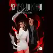 Постер книги 43 дня до конца