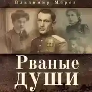 Постер книги Рваные души
