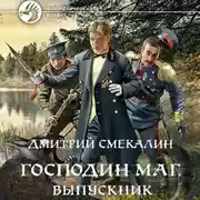 Постер книги Господин маг. Выпускник