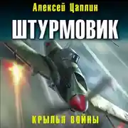 Постер книги Штурмовик. Крылья войны