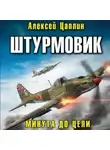 Алексей Цаплин - Штурмовик. Минута до цели