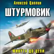 Постер книги Штурмовик. Минута до цели