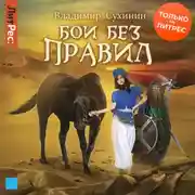 Постер книги Бои без правил