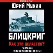 Постер книги Блицкриг: как это делается? Секрет «молниеносной войны»