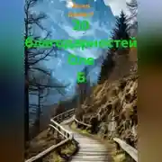 Постер книги 20 благодарностей Оле Б