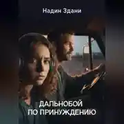 Постер книги Дальнобой по принуждению