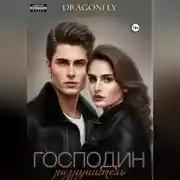 Постер книги Господин Разрушитель