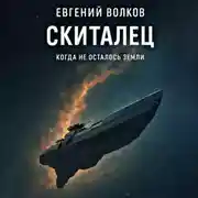 Постер книги Скиталец
