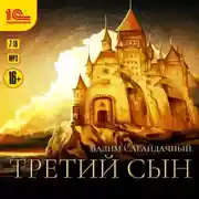 Постер книги Третий сын