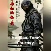 Постер книги Ниндзя:Тени Сэнгоку