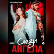 Постер книги Слезы Ангела