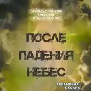 Постер книги После падения небес