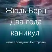 Постер книги Два года каникул