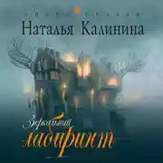 Постер книги Зеркальный лабиринт
