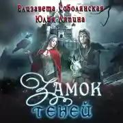 Постер книги Замок теней