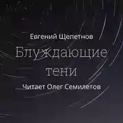 Постер книги Блуждающие тени