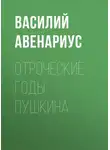 Василий Авенариус - Отроческие годы Пушкина