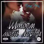 Постер книги Шторм моей любви