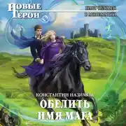 Постер книги Обелить имя мага