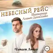 Постер книги Небесный рейс