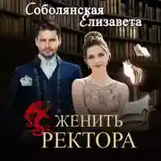 Постер книги Женить ректора