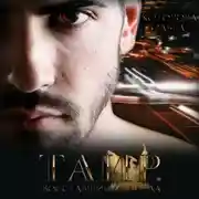 Постер книги Таир. Восставший из пепла