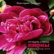 Постер книги Пионы. Лучшие сорта