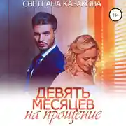 Постер книги Девять месяцев на прощение