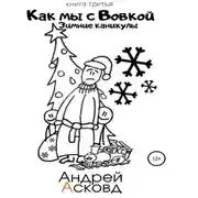 Постер книги Как мы с Вовкой. Зимние каникулы. Книга третья