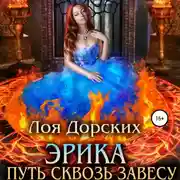 Постер книги Эрика. Путь сквозь завесу