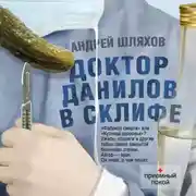Постер книги Доктор Данилов в Склифе