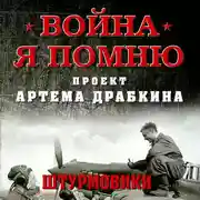 Постер книги Штурмовики