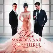 Постер книги Два мажора для Золушки