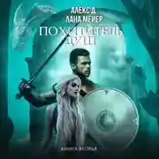 Постер книги Похититель душ 2