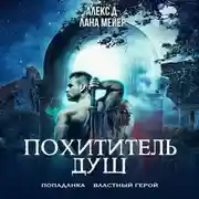 Постер книги Похититель душ