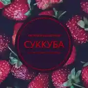 Постер книги Суккуба