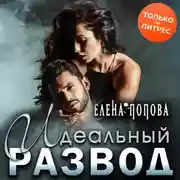 Постер книги Идеальный развод