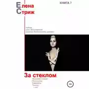 Постер книги За стеклом