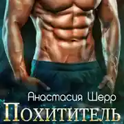 Постер книги Похититель