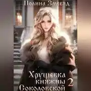 Постер книги Хрущевка княжны Соколовской 2