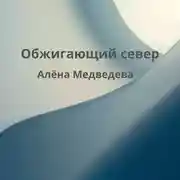 Постер книги Обжигающий север