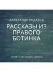Александр Рудазов - Рассказы из правого ботинка (сборник)