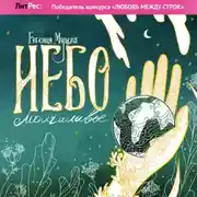 Постер книги Небо молчаливое