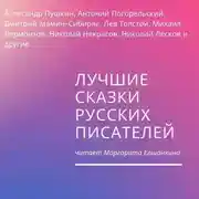 Постер книги Лучшие сказки русских писателей