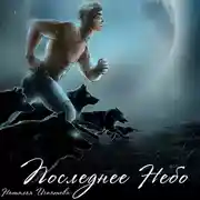 Постер книги Последнее небо