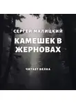 Сергей Малицкий - Камешек в жерновах