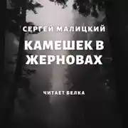 Постер книги Камешек в жерновах