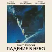 Постер книги Падение в небо
